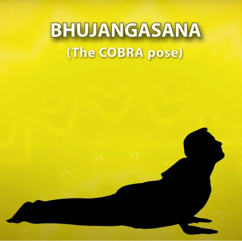 Step By Step-Cobra Pose Yoga-(BHUJANGASANA) In [2023]-Easy-Complete ...